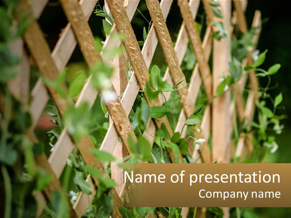 A Wooden Fence With Green Plants Growing On It PowerPoint Template
