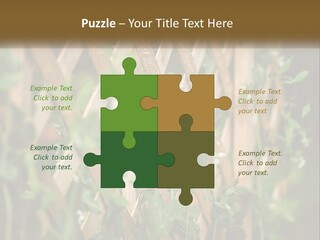 A Wooden Fence With Green Plants Growing On It PowerPoint Template