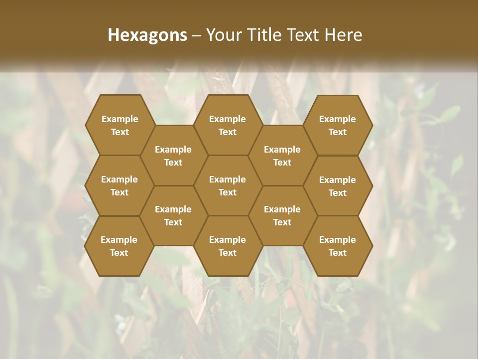 A Wooden Fence With Green Plants Growing On It PowerPoint Template