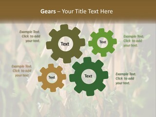 A Wooden Fence With Green Plants Growing On It PowerPoint Template