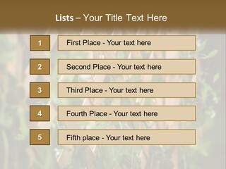 A Wooden Fence With Green Plants Growing On It PowerPoint Template