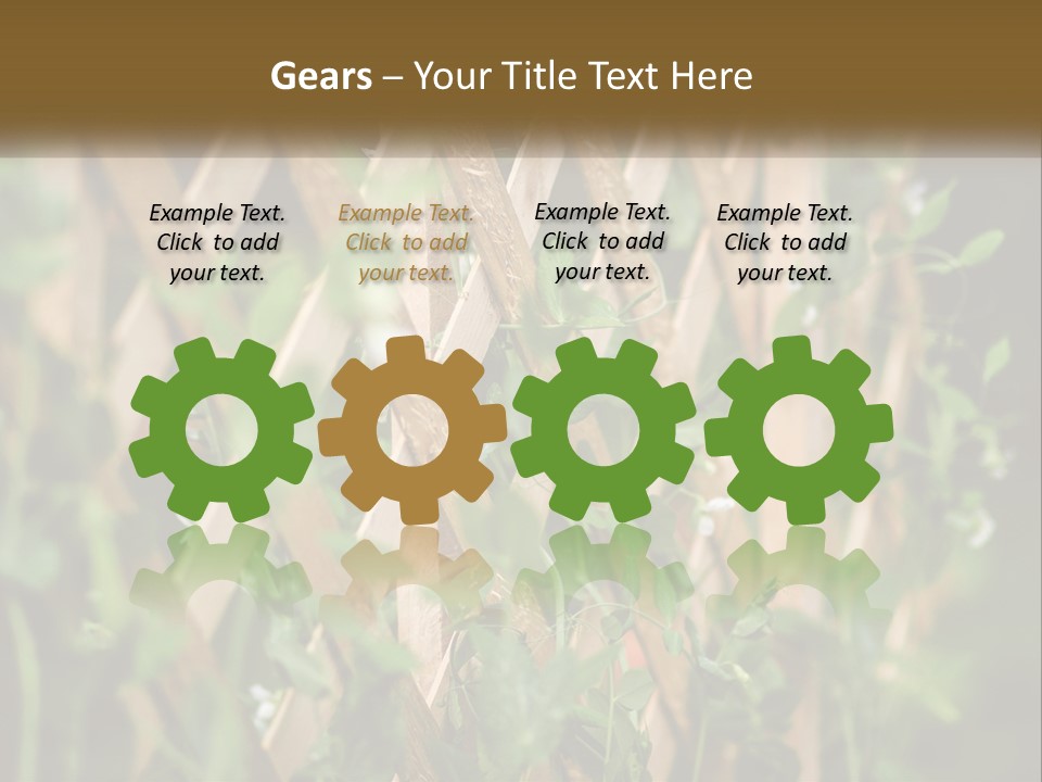 A Wooden Fence With Green Plants Growing On It PowerPoint Template