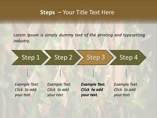 A Wooden Fence With Green Plants Growing On It PowerPoint Template