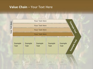 A Wooden Fence With Green Plants Growing On It PowerPoint Template