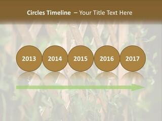 A Wooden Fence With Green Plants Growing On It PowerPoint Template