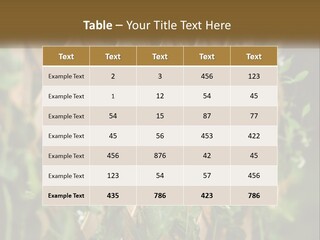 A Wooden Fence With Green Plants Growing On It PowerPoint Template