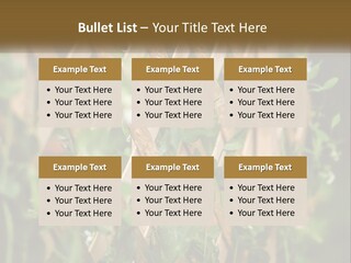 A Wooden Fence With Green Plants Growing On It PowerPoint Template