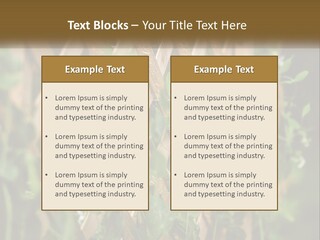 A Wooden Fence With Green Plants Growing On It PowerPoint Template