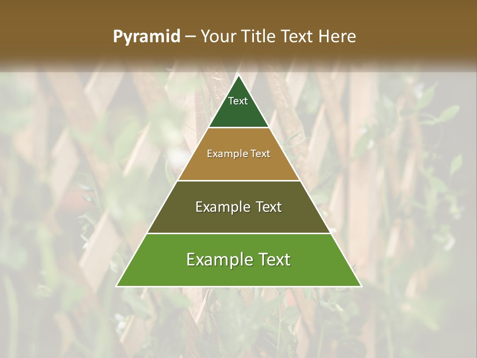A Wooden Fence With Green Plants Growing On It PowerPoint Template