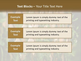 A Wooden Fence With Green Plants Growing On It PowerPoint Template