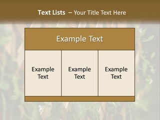 A Wooden Fence With Green Plants Growing On It PowerPoint Template