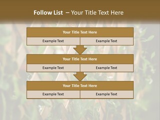 A Wooden Fence With Green Plants Growing On It PowerPoint Template