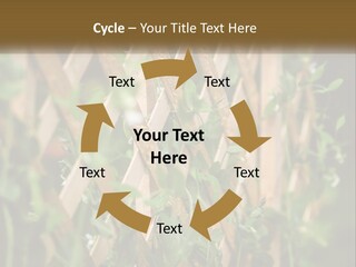 A Wooden Fence With Green Plants Growing On It PowerPoint Template