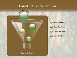 A Wooden Fence With Green Plants Growing On It PowerPoint Template