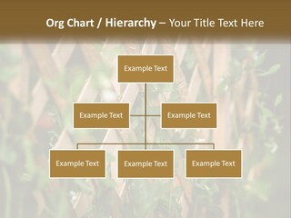 A Wooden Fence With Green Plants Growing On It PowerPoint Template