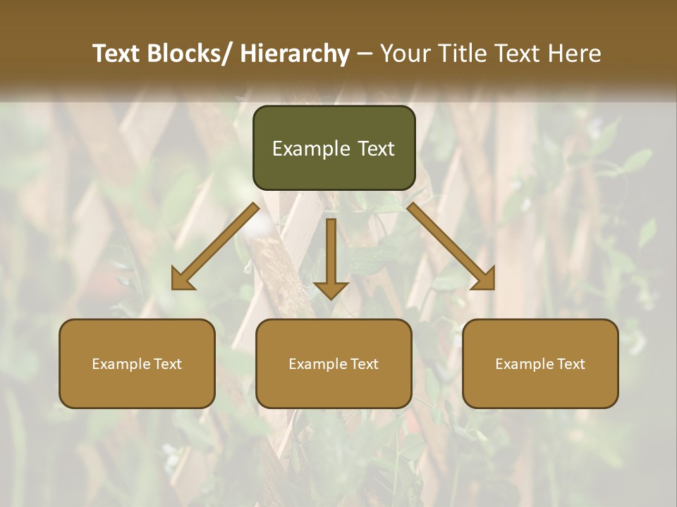 A Wooden Fence With Green Plants Growing On It PowerPoint Template