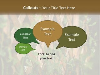 A Wooden Fence With Green Plants Growing On It PowerPoint Template