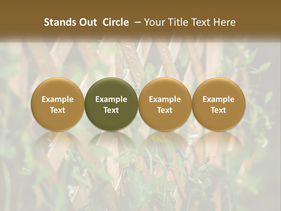 A Wooden Fence With Green Plants Growing On It PowerPoint Template