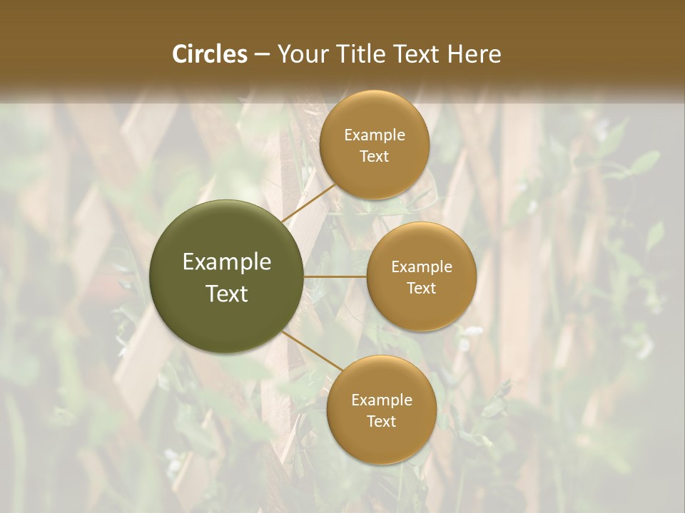 A Wooden Fence With Green Plants Growing On It PowerPoint Template