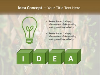 A Wooden Fence With Green Plants Growing On It PowerPoint Template