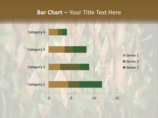 A Wooden Fence With Green Plants Growing On It PowerPoint Template