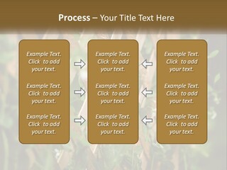 A Wooden Fence With Green Plants Growing On It PowerPoint Template