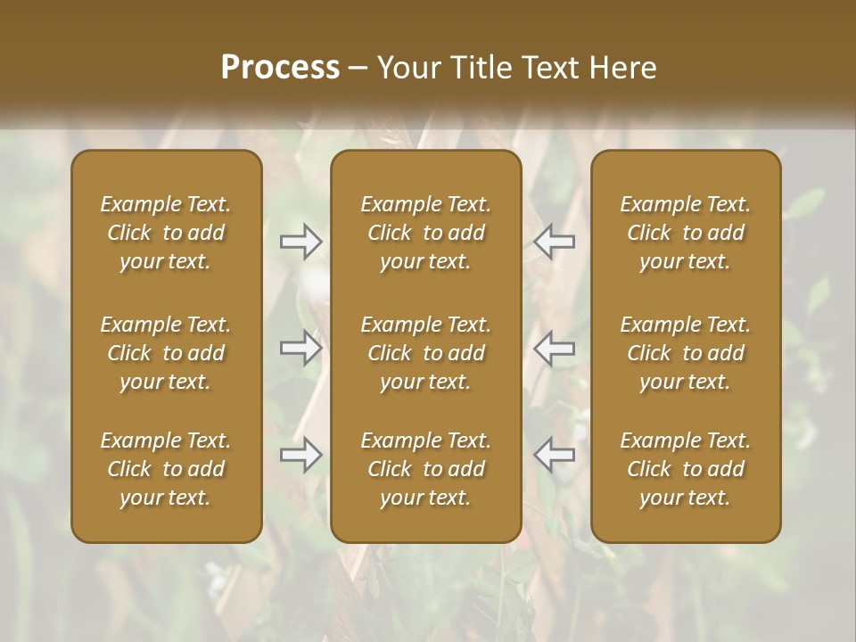 A Wooden Fence With Green Plants Growing On It PowerPoint Template