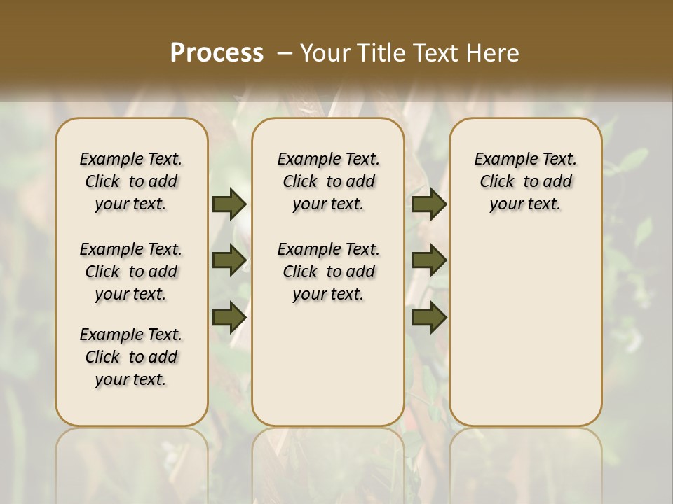 A Wooden Fence With Green Plants Growing On It PowerPoint Template