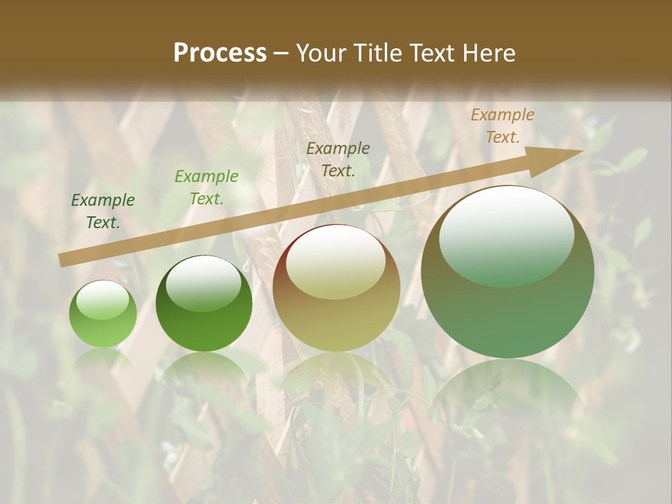 A Wooden Fence With Green Plants Growing On It PowerPoint Template