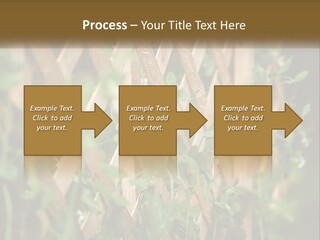 A Wooden Fence With Green Plants Growing On It PowerPoint Template
