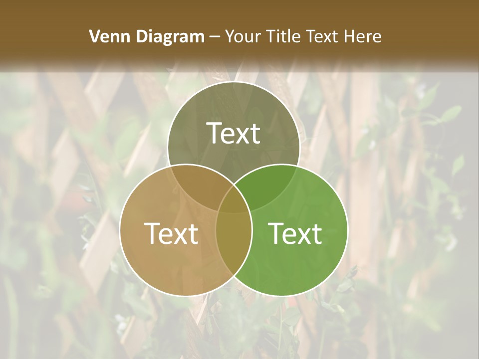 A Wooden Fence With Green Plants Growing On It PowerPoint Template