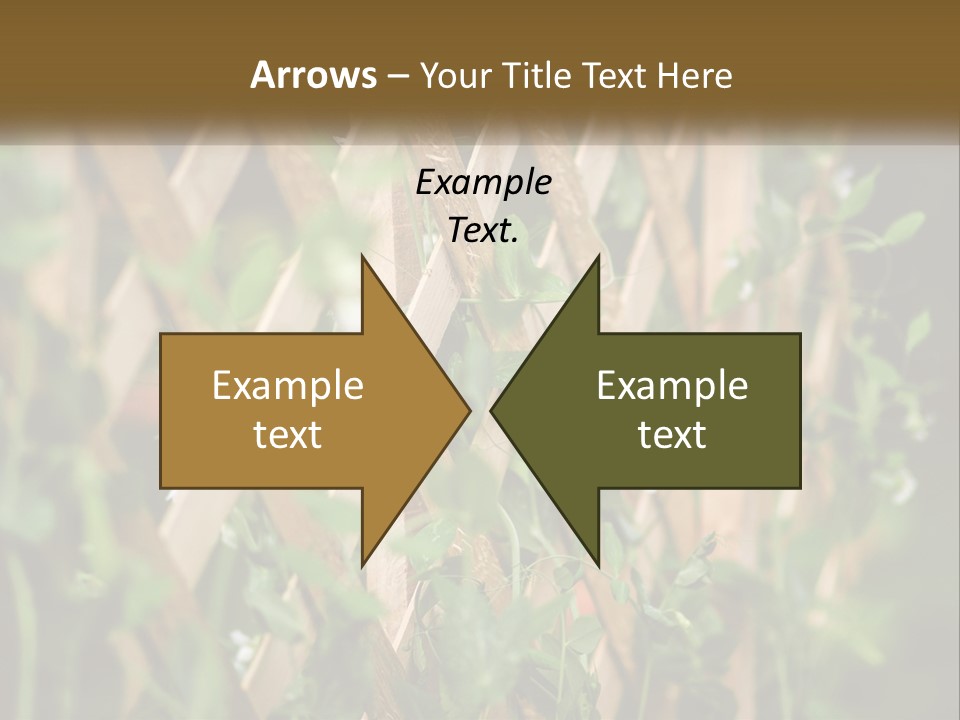 A Wooden Fence With Green Plants Growing On It PowerPoint Template