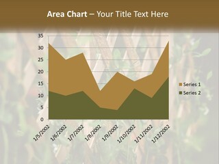 A Wooden Fence With Green Plants Growing On It PowerPoint Template