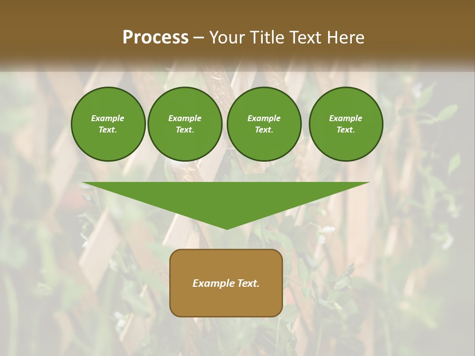 A Wooden Fence With Green Plants Growing On It PowerPoint Template
