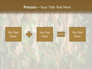 A Wooden Fence With Green Plants Growing On It PowerPoint Template