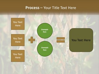 A Wooden Fence With Green Plants Growing On It PowerPoint Template