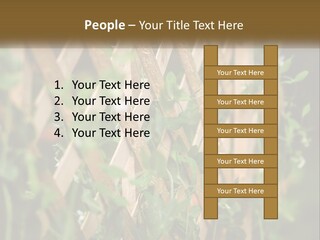 A Wooden Fence With Green Plants Growing On It PowerPoint Template