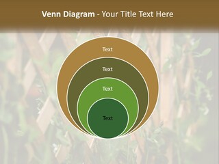 A Wooden Fence With Green Plants Growing On It PowerPoint Template
