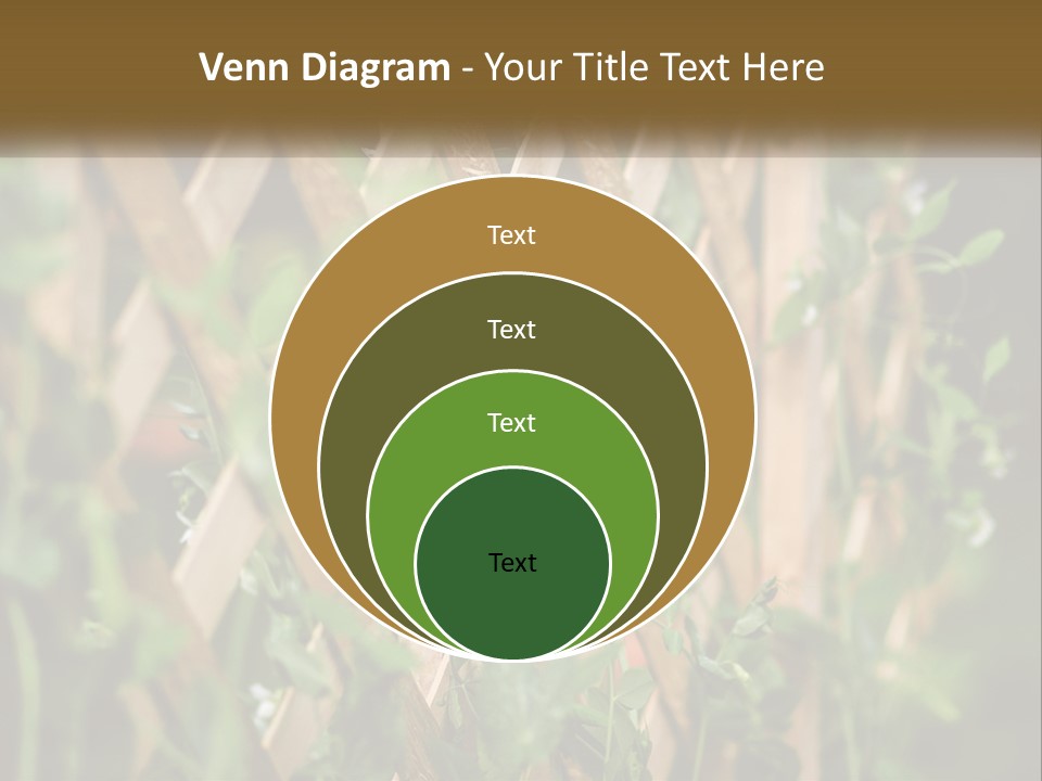 A Wooden Fence With Green Plants Growing On It PowerPoint Template