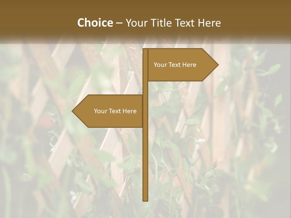 A Wooden Fence With Green Plants Growing On It PowerPoint Template