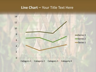 A Wooden Fence With Green Plants Growing On It PowerPoint Template