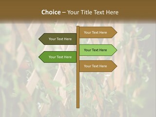 A Wooden Fence With Green Plants Growing On It PowerPoint Template
