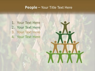 A Wooden Fence With Green Plants Growing On It PowerPoint Template