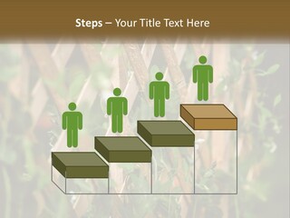 A Wooden Fence With Green Plants Growing On It PowerPoint Template