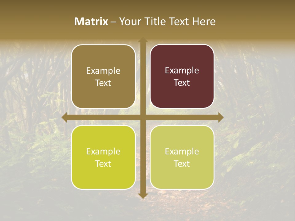A Path Through A Forest With Lots Of Trees PowerPoint Template