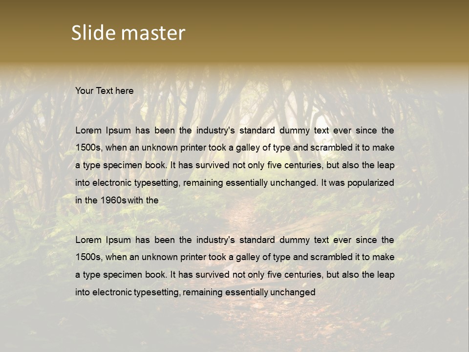 A Path Through A Forest With Lots Of Trees PowerPoint Template