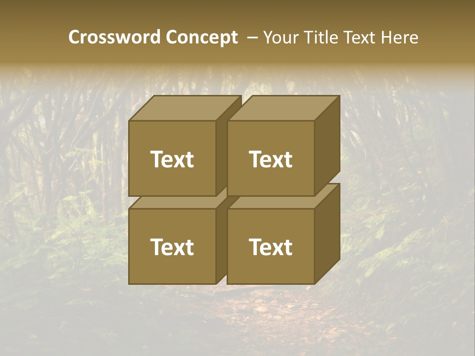 A Path Through A Forest With Lots Of Trees PowerPoint Template