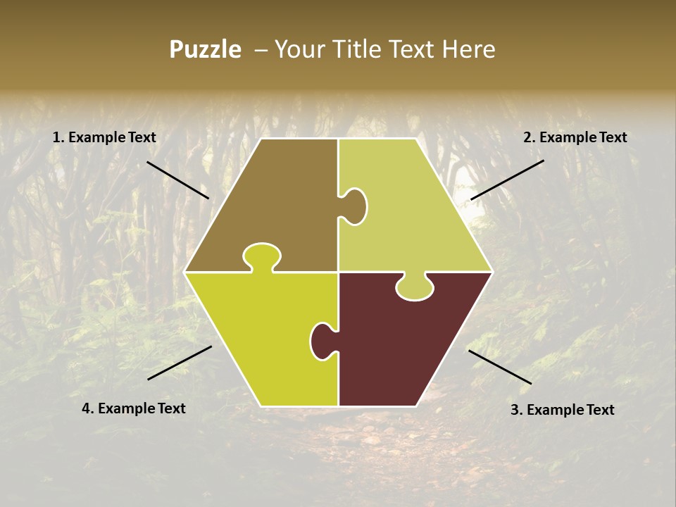A Path Through A Forest With Lots Of Trees PowerPoint Template