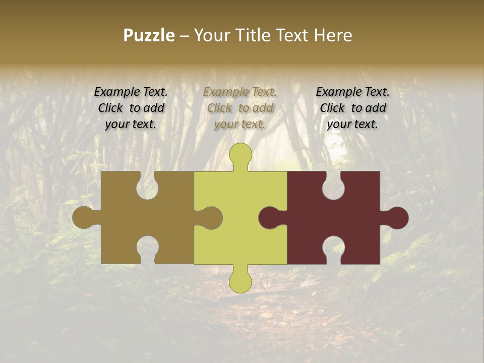 A Path Through A Forest With Lots Of Trees PowerPoint Template