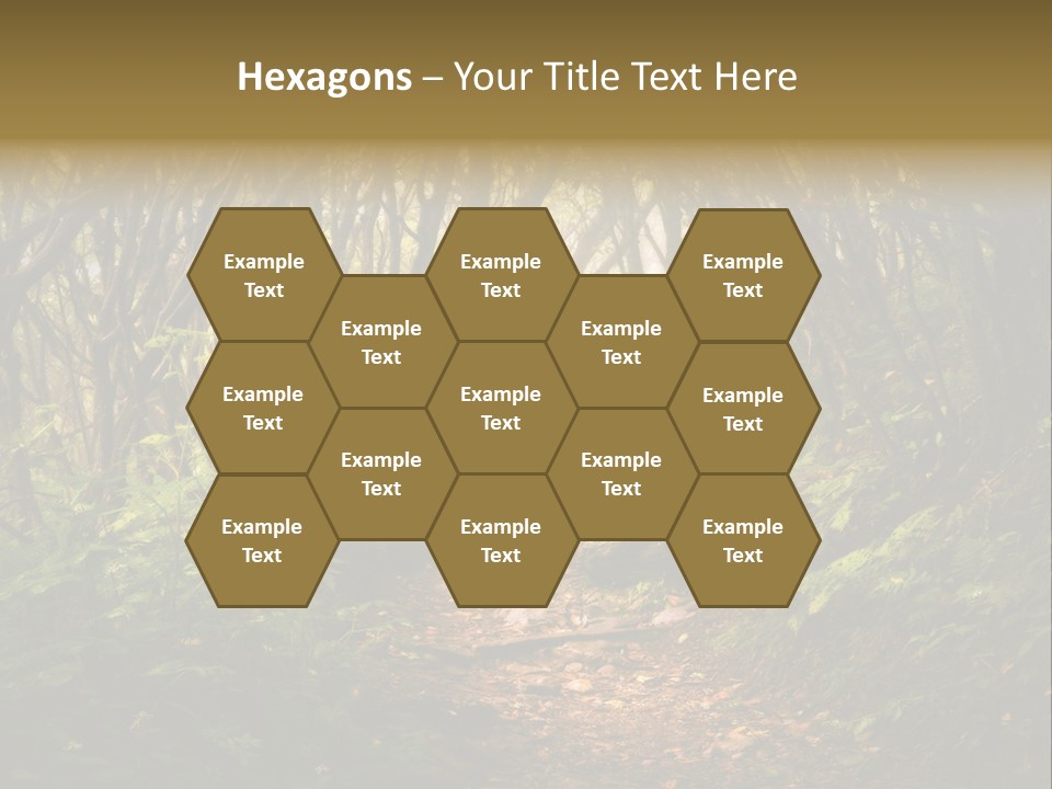 A Path Through A Forest With Lots Of Trees PowerPoint Template